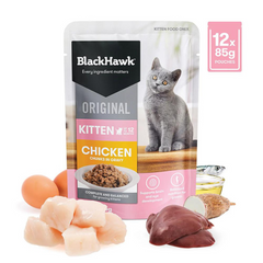 Black Hawk Original Chicken in Gravy Kitten Wet Cat Food 85g x 12