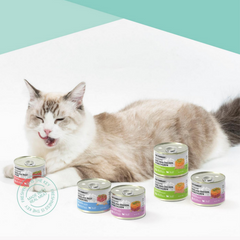 CAT FOREST NZ Premium Cat Wet Food 180g