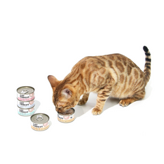 CAT FOREST White Meat Canned Cat Food 85g
