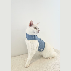 Cat Harness Australia Catventure - Escape Proof Cat Harness - Balu Blue