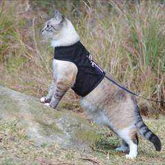 Cat Harness Australia Catventure - Escape Proof Cat Harness - Black