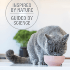 Feline Natural Beef Feast Freeze-Dried Cat Food