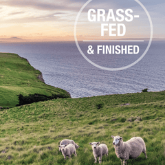 Feline Natural Beef & Hoki Feast Freeze-Dried Cat Food