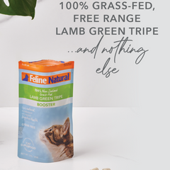 Feline Natural Lamb Green Tripe Freeze-Dried Booster Cat Treat