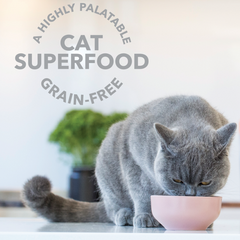 Feline Natural Lamb Green Tripe Freeze-Dried Booster Cat Treat