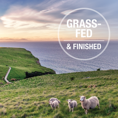 Feline Natural Premium Cat Wet Food Can 85g