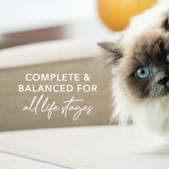 Feline Natural Premium Cat Wet Food Can 85g