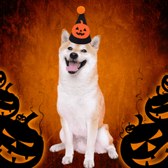 Pikapet Halloween Dog Hat