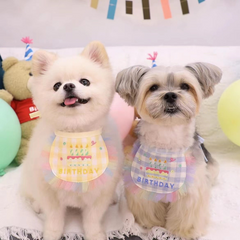 Pikapet INS Dog Cat Birthday Bib and Hat Set