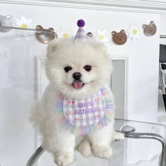 Pikapet INS Dog Cat Birthday Bib and Hat Set