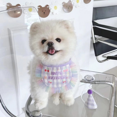 Pikapet INS Dog Cat Birthday Bib and Hat Set