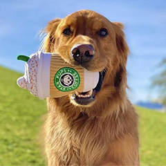 Pikapet Latte Coffee Squeezing Dog Toy