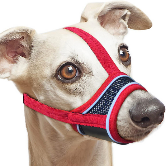 Pikapet Nylon Adjustable Dog Muzzle