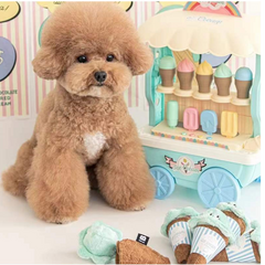 Pikapet INS Treat-Hiding Ice Cream Squeezing Dog Toy