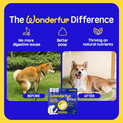 Wonderfur Freeze-Dried Yogurt Bites Immune Booster Dog Treats 50g