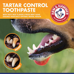 Arm&Hammer Tartar Control Enzymatic Toothpaste for Dogs – Beef Flavor 70ml