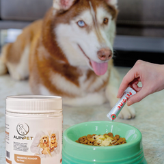 AUINPET Boulardii Probiotic Powder For Pets 60g