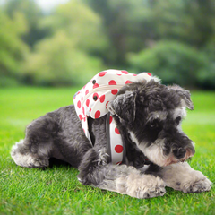 Touchdog Rabbit Ears Picnic Bag – Polka Dot