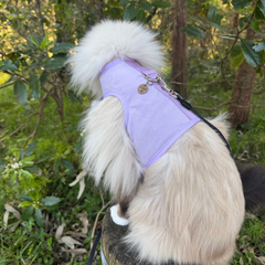 Cat Harness Australia Catventure - Escape Proof Cat Harness - Lilac