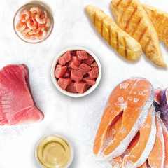 Catit Creamy Treats Line Caught Tuna 4 x 10g