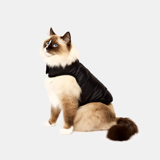 Cat Harness Australia Catventure Cat Puffer Jacket Black