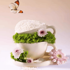 Cuihua Xu Plant Natural Cat Litter Green Tea 2.5kg