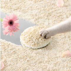 Cuihua Xu Tofu & Plant Mixed Natural Cat Litter 2.5kg