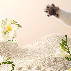 Cuihua Xu Tofu & Plant Mixed Natural Cat Litter 2.5kg