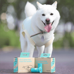 Deo Doo Bio Dog Poo Bags with Handle 12 Rolls 144 Counts Uncented