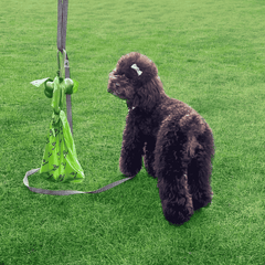 Deo Doo Bio Dog Poo Bags with Handle 20 Rolls 240 Counts Uncented