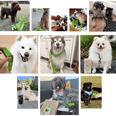 Deo Doo Bio Dog Poo Bags with Handle 8 Rolls 120 Counts Sakura Scented