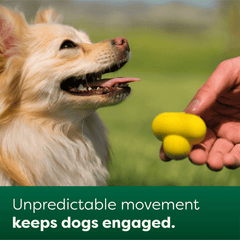 Earth Rated Fetch Toy - Small