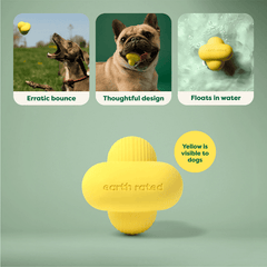 Earth Rated Fetch Toy - Small