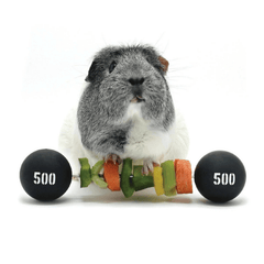 HayPigs Piggy Weightlifter Vegetable Kebab Maker