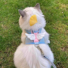 hipidog Pet Leash Harness Set