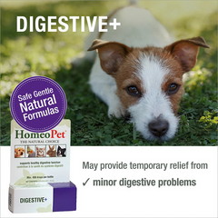 HomeoPet Digestive+