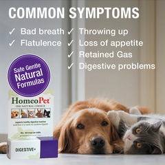 HomeoPet Digestive+