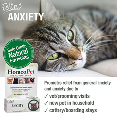 HomeoPet Feline Anxiety