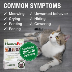 HomeoPet Feline Anxiety