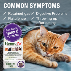 HomeoPet Feline Digestive Ease