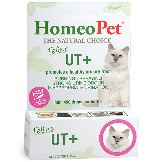HomeoPet Feline UT+