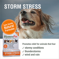 HomeoPet Storm Stress