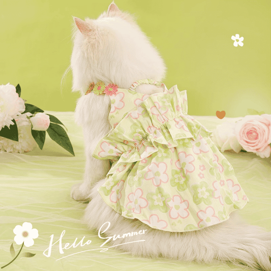 Hoopet Floral Whisper Pet Strap Dress
