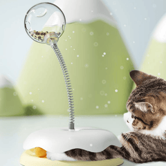 Hoopet Pet Treat Leakage Turntable Toy