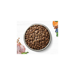 Ivory Coat Grain Free Adult Cat Food Chicken