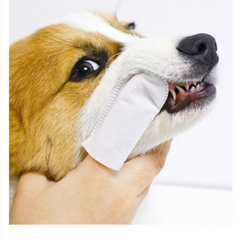 KOJIMA Pet Tooth Clean Dental Finger Wipes 36pcs