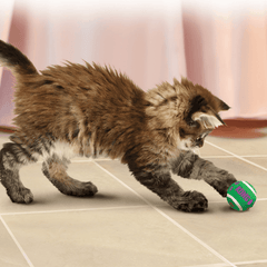 KONG Active Cat Tennis Balls with Bells Cat Toy