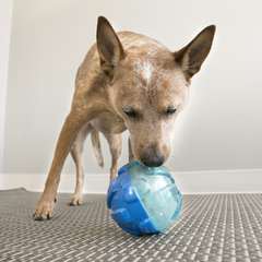 KONG Rewards Ball Treat Dispensing Toy For Dogs Small