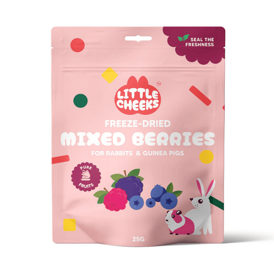 Little Cheeks Freeze Dried Mixed Berries for Small Animals 25g