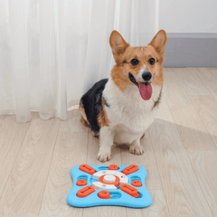 M-PETS Brainy Game Copernic L2 Medium Dog Toy